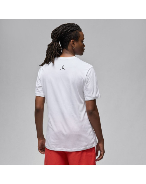 Футболка M J FLT ESS GFX SS CREW