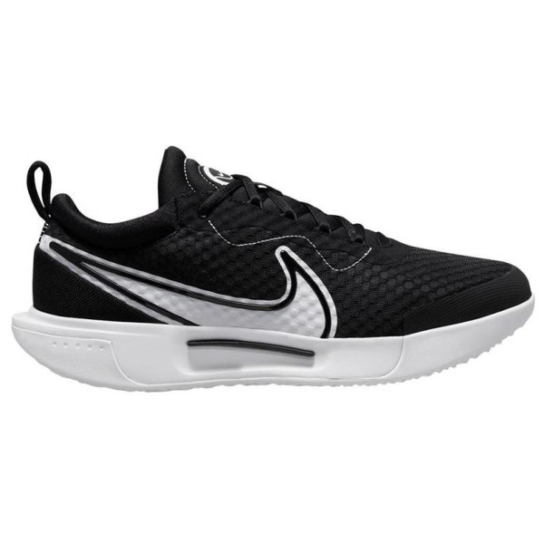 Кроссовки M NIKE ZOOM COURT PRO HC All Court