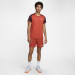 Теннисные шорты M NIKE DF ADVTG SHORT 7IN