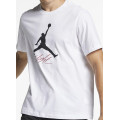 Футболка NIKE JUMPMAN FLIGHT HBR TEE
