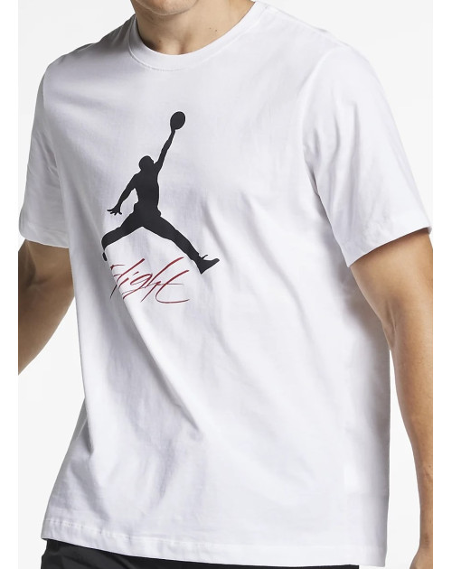 Футболка NIKE JUMPMAN FLIGHT HBR TEE