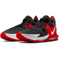 Кроссовки Nike M Lebron Witness VII