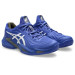 Теннисные кроссовки ASICS M COURT FF 3 CLAY (403)
