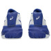 Теннисные кроссовки ASICS M GEL-RESOLUTION X (101)