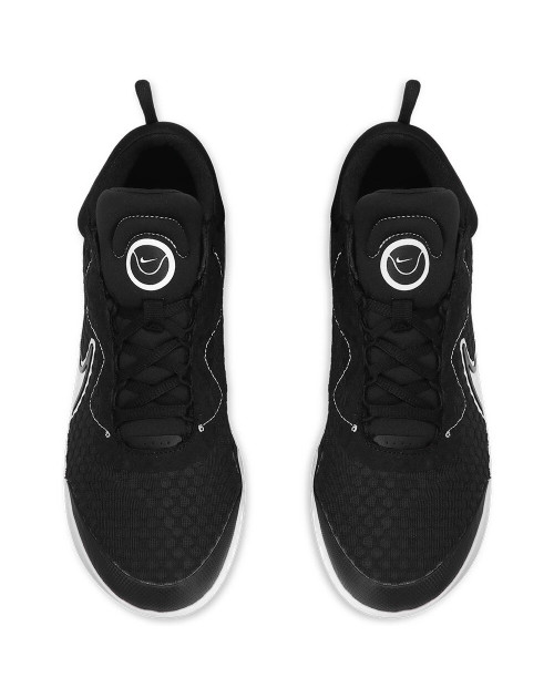 Кроссовки M NIKE ZOOM COURT PRO HC All Court