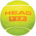 Теннисные мячи Head TIP orang 50% 1 мяч