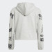 Костюм ADIDAS G HOODED CO TS