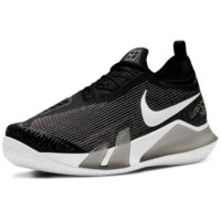 Кроссовки NIKE REACT VAPOR NXT HC All Court