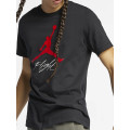 Футболка NIKE JUMPMAN FLIGHT HBR TEE
