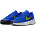Теннисные кроссовки NIKE M VAPOR LITE 3 HC lbl