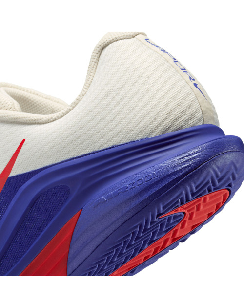 Теннисные кроссовки NIKE M ZOOM VAPOR 12 CLY PRM RG