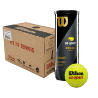 Теннисные мячи WILSON ROLAND GARROS ALL COURT  * 72