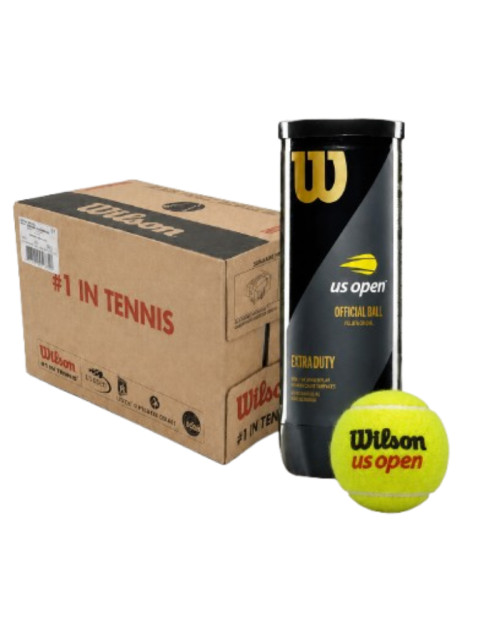 Теннисные мячи WILSON ROLAND GARROS ALL COURT *72