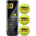 Теннисные мячи WILSON ROLAND GARROS ALL COURT *72