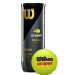 Теннисные мячи WILSON ROLAND GARROS ALL COURT *72