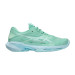Теннисные кроссовки Asics SOLUTION SPEED FF 4 CLAY GR/BL