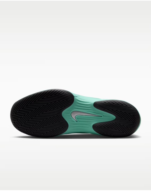 Тенісні кросівки NIKE W ZOOM VAPOR 12 HC PRM 300