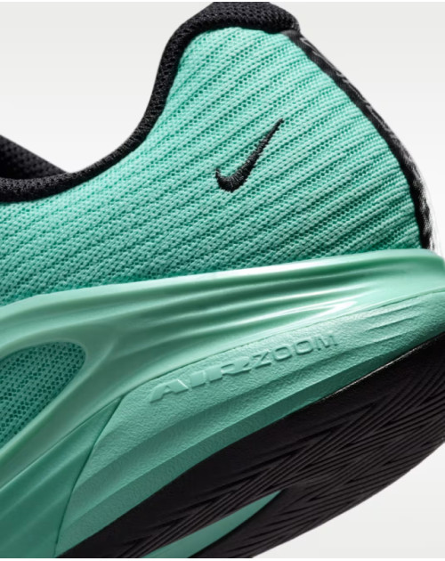 Тенісні кросівки NIKE W ZOOM VAPOR 12 HC PRM 300