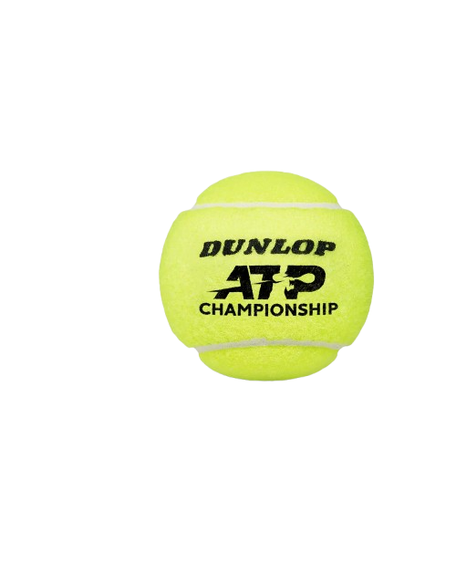 Теннисные мячи Dunlop ATP Championship*4 72 мяча