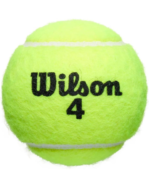 Теннисные мячи WILSON ROLAND GARROS CLAY *3