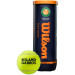Теннисные мячи WILSON ROLAND GARROS CLAY *3