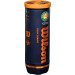 Теннисные мячи WILSON ROLAND GARROS CLAY *3