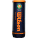 Теннисные мячи WILSON ROLAND GARROS CLAY *3