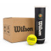 Теннисные мячи WILSON ROLAND GARROS ALL COURT * 72