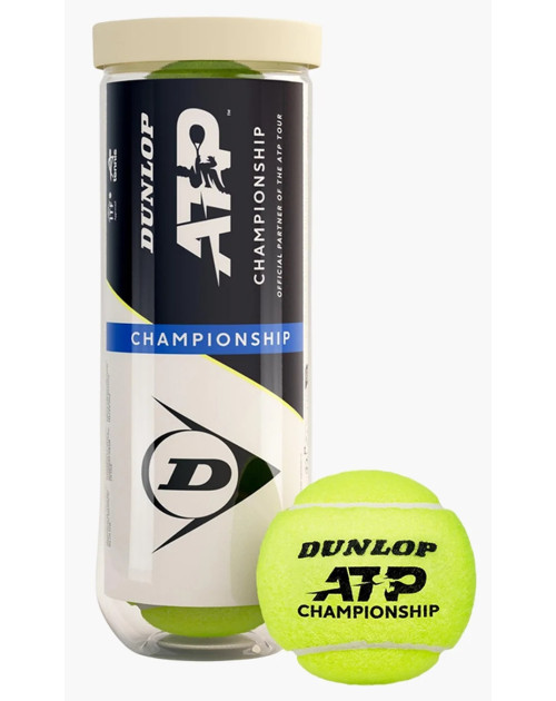 Теннисные мячи DUNLOP ATP CHAMPIONSHIP*3 1 банка
