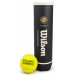 Теннисные мячи WILSON ROLAND GARROS ALL COURT * 72